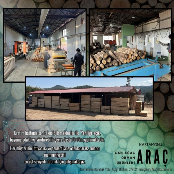 Can Ağaç Tanıtım 2